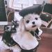 MuYaoPet French Artist Wool Beret Hat for Dog & Cat - Black, One Size - Buy Online on GoSupps.com