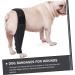 CORHAD Dog Leg Braces for Hindleg Comfortable Dog Knee Dog Back Leg Protector Puppy Pet Mesh Fabric Care M As Shown - Buy Online on GoSupps.com