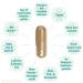Madena Candivital - Natural Phyto Complex for Candida Albicans & Candidose | Caprylic Acid Neem Extract Oregano Grapefruit Black Cumin - International Shipping - Buy Online on GoSupps.com