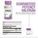 Solaray Valerian Root Extract 50mg | Relaxation & Sleep Support | 0.8% Valerenic Acids | 60ct Capsules (Pack of 1) - Buy Online on GoSupps.com
