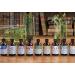 Davines Naturaltech PURIFYING Shampoo - Anti-Dandruff Protection - 8.45 fl. oz - Buy Online on GoSupps.com