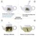 LWXLJMJZC-(40cups) Silver Needle White Tea |Yunnan Yin Zhen White Tea -2.82oz/80g - Buy Online on GoSupps.com