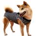 Dog dividers breathable for surgical abdominal wounds and skin protection anti-losing cone e-neck band alternative after operations XL (1-pack) blue striped