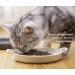 BiteKing Ceramic Cat Bowl - Whisker Fatigue Relief Dish for Cats - Shallow Wide Feeding Plate for Kittens - 2 Pack (Dark Green & White) - Buy Online on GoSupps.com