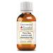 Greenwood Essential Pure Bay Laurel Leaf Essential Oil (Laurus nobilis) Steam Distilled 15ml (0.50 oz) 0.50 Fl Oz (Pack of 1)