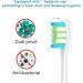 10 Replacement Electric Toothbrush Heads for OCLEAN | Compatible Plug-In Brushes for Alloclean | White Brush Heads - Buy Online on GoSupps.com