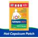Salonpas Hot Capsicum Patch Backache Strains Sprains Arthritis 3 Large Patches - Buy Online on GoSupps.com