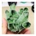 Natural Green Ghost Phantom Quartz Crystal Cluster Rock Stones and Crystals Specimen Home Decor Beautiful ZJGIDTEM