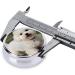 Round Pill Box | Mini Travel Medicine Organizer | Bichon Frise Dog Prints - Perfect for Purse & Pocket - Buy Online on GoSupps.com