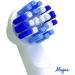 4 Pack Oral B Braun Compatible Replacement Toothbrush Heads - Professional Precision Refills for OralB Electric Toothbrushes - Fits Oral-b 7000, 1000, 9600, 500, 3000, 8000 - 4 Count - Buy Online on GoSupps.com
