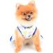 Shop Paidful Dress for Small Dogs & Cats - Soft Cotton Clothing with Bow for Puppies Yorkies & Chihuahuas | Perfect Birthday & Spring/Summer Petwear - Buy Online on GoSupps.com