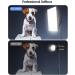 2pcs 135W CFL Daylight Spiral Softbox Lighting Kit Bulb 5500K E27 Socket for Photography - 2 Count - Buy Online on GoSupps.com