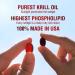 LABO Nutrition Perfect Krill EX - Ultra Strength Antarctic Krill Oil with Choline, Astaxanthin, Omega 3 - Heart & Joint Support - 60 Softgels - Buy Online on GoSupps.com