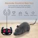Remote Control Fake Rat Cat Toy - Interactive Realistic Mouse Figures for Cat Prank Joke Scary Trick Funny Toy - Gray - Buy Online on GoSupps.com