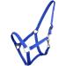 Shop Netproshop Solid Color Halter & Lead Rope for Mini Shetland to XL Full - Blue - Buy Online on GoSupps.com