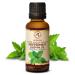 Peppermint oil essential oil 30ml - 100% etheric oil mint - mentha piperita - mint oil for good sleep - stress reduction - room fragrance - aroma diffuse - fragrance lamp - Essential peppermint oil peppermint oil (1 Pack)