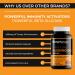 Oomph Naturals Turkey Tail Mushroom Capsules  4500mg Extract  90 Day Supply  Non-GMO  Gluten Free  Powder Supplements for Immune System Support Gut Health - Buy Online on GoSupps.com