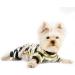 Chihuahua Pajamas X-Small Camouflage Green | Winter Fleece Dog Jumpsuit | Tiny Pet Clothes for Small Puppy Yorkie Teacup Outfits - Buy Online on GoSupps.com