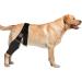 HSHGZSR Dog Knee Brace for Hind Leg Breathable Dog Leg Braces Comfortable Soft Dog ACL Brace Adjustable Pet Back Leg Support Brace for Supporting Dogs with Torn ACL Muscle Hind Leg Joint Discomfort Black L - Buy Online on GoSupps.com