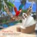Parrot Nature Rope Wooden Ladder Swing - Bird Conductor Rope Toy & Creep Bridge Accessories for Parrots | Shop Internationally - Buy Online on GoSupps.com