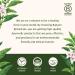 Banyan Botanicals Shilajit Tablets - Organic Mineral-Rich Supplement for Detox and Healthy Aging - 90 ct - Non GMO Vegan - Buy Online on GoSupps.com