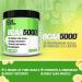 EVLution Nutrition BCAA5000 Lemon Lime - 9.10 oz (258 g) | Premium Amino Acids for Muscle Recovery - Buy Online on GoSupps.com
