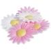Raspberry Deco Azyme Daisies 5 g - Buy Online on GoSupps.com