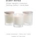 Zents Mandarin Ginger & Vanilla Scented Soy Wax Candle - Large 8.5 oz Jar | Uplifting Home Decor Accent - Buy Online on GoSupps.com