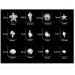 2 Boxes Metal 3D Ocean Nail Studs Star Starfish Shell Mix - 12 Grid Sizes Nail Art Decoration - Buy Online on GoSupps.com