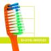 Buy Reach Crystal Clean Toothbrush - Soft Bristles Pack of 6 | International Shipping Available - Buy Online on GoSupps.com