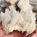 Natural Crystal Rough 1pc 300g-500g Natural Clear Smoky Quartz Cluster Bulk Crystal Cluster geode Crystal Specimen for Sale - Buy Online on GoSupps.com