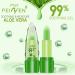 Skynest Aloe Vera Lip Balm Set - Moisturizing Lipstick & Color Change Gloss Long-Lasting & Nutritious Lip Plumper (Green) - Buy Online on GoSupps.com