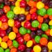 Skittles Fruity Sweets - Fruit Chewy Sweets Bite Sized Candies - Ideal Wedding Favour Chewy Candies (1600g) - Buy Online on GoSupps.com