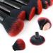 Transparent Handle Makeup Brush Set - Red Black Cosmetic Brushes Kit - Buy Online on GoSupps.com