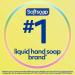 Softsoap Antibacterial Liquid Hand Soap Fresh Citrus 11.25 fl oz - 6 Pack - Buy Online on GoSupps.com