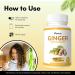 Mysurty Ginger Root Extract | Ginger Root Supplement | Ginger Capsules 1000mg | Capsules for Men & Women - 60 Capsules (Pack 1) - Buy Online on GoSupps.com