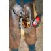 Kevin Bacon s Hoof Solution Double Pack | 2 x 150g | Suitable for All Horse Types | Integrated Brush | Reduces Hoof Problems - Buy Online on GoSupps.com