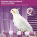 Parrot Perch 15CM Pink&White Color Bird Perch Stand Birdcage Scrub Stand Bar for Bird Parrot Budgies Parakeet Cockatiels Conure Lovebird Cage Paw Grinding Toy pink 15cm - Buy Online on GoSupps.com