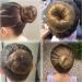 Tenalleys Ballet Hair Bun Cover Set - 50 Pieces Nylon Invisible Hairnet with U Shaped Pins - Light Linen Color - Ideal for Food Service, Ballet, and Wig Styles - Buy Online on GoSupps.com