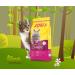Josicat Sterilized Classic 10kg - Premium Dry Cat Food with Poultry & Salmon | Josera Adult Cat Nutrition - Buy Online on GoSupps.com