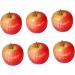 HOMSFOU 12 Pcs Reusable Fake Apple Fake Apple Model Simulation Apple Watermelon - Buy Online on GoSupps.com