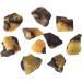 Septarian Raw Crystals Large 1.25-2.0 | Healing & Natural Rough Stones for Tumbling, Cabbing, Decoration | Wicca, Reiki & Polishing - Buy Online on GoSupps.com