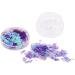 Dacvgog 2.0g Holographic - Manicure Chrome Glitters 4 - Buy Online on GoSupps.com