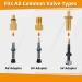 40-Part Bicycle Valve Adapter Set - All Valve Adapters for Air Pumps French Valve Adapters Ball Pump Needles & Sorting Box | SV AV DV PV Extenders - Buy Online on GoSupps.com