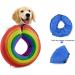 Ducomi Inflatable Breakdown Dog & Cat Collar - Relaxation Movement & Visibility - Prevent Scratches & Bites - Rainbow (Size S) - Buy Online on GoSupps.com