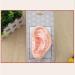 Fhuili 13 cm Ear Acupuncture Model - HD Lettering for Medical Learning | Human Acupuncture & Meridian Points - Buy Online on GoSupps.com