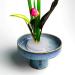Set of 2 Clear Plastic Flower Frogs Arrangement Holders 2.76 Inch - 70mm - Buy Online on GoSupps.com