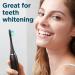 Sonic Electric Toothbrush for Adults & Kids - 8 Heads Wireless Charging Travel Case | Phylian H15 Sound Toothbrush - Buy Online on GoSupps.com