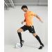 Puma TeamLIGA Referee Shorts for Men - Black/White | Stylish Durable Perfect for Officials - Buy Online on GoSupps.com