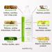 Natural Hydrating Moisturizer - Plant-Based Cruelty-Free Vegan Lotion with Essential Oils & Coconut Butter for Dry Skin | Perfect Gift - Buy Online on GoSupps.com